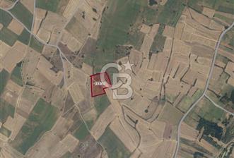 KIRKLARELİ PINARHİSAR ERENLER'DE YATIRIMLIK FIRSAT TARLA - 3 - 342302