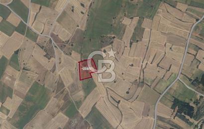 KIRKLARELİ PINARHİSAR ERENLER'DE YATIRIMLIK FIRSAT TARLA