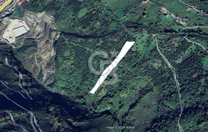 Trabzon Ortahisar Bulak Mahallesinde 7.067 m² Satılık Arazi