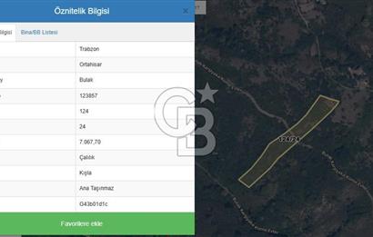 Trabzon Ortahisar Bulak Mahallesinde 7.067 m² Satılık Arazi