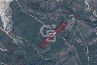 Trabzon Ortahisar Bulak Mahallesinde 7.067 m² Satılık Arazi - 8 - 342270