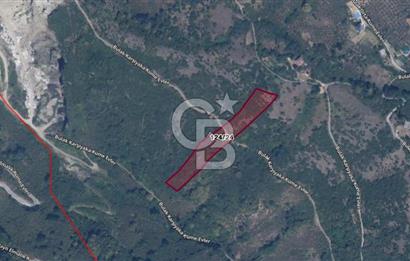 Trabzon Ortahisar Bulak Mahallesinde 7.067 m² Satılık Arazi