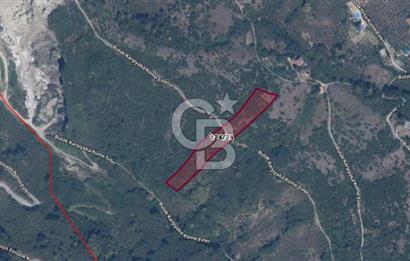 Trabzon Ortahisar Bulak Mahallesinde 7.067 m² Satılık Arazi