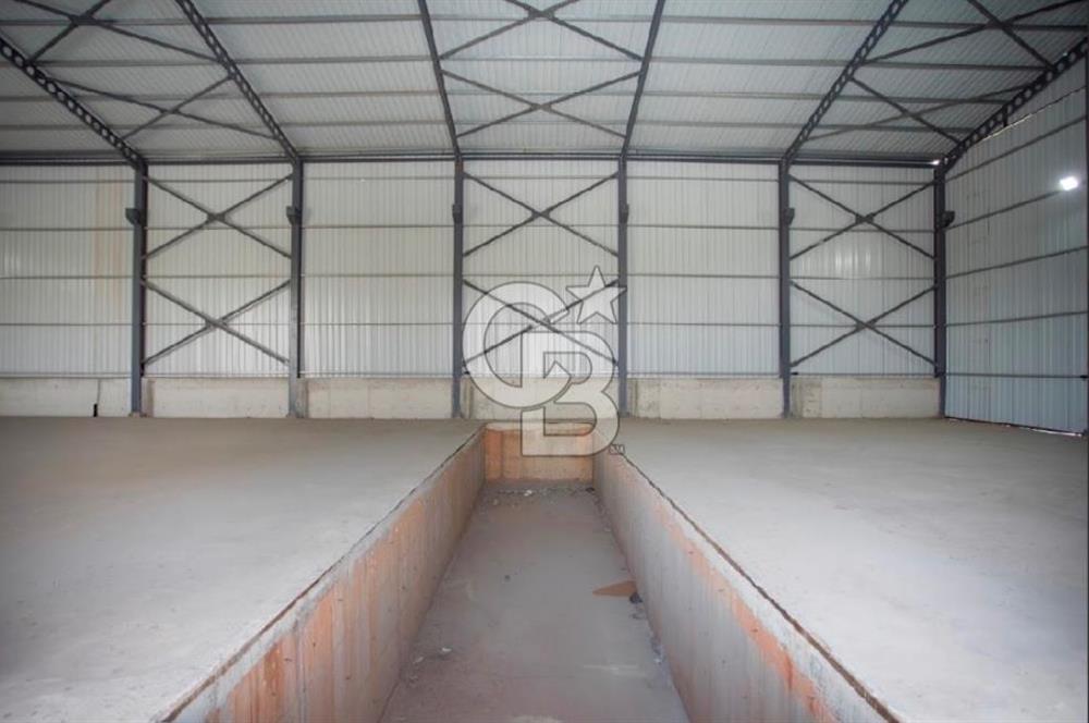 Menemen Buruncuk’ta Kiralık Depo