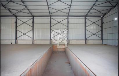 Menemen Buruncuk’ta Kiralık Depo