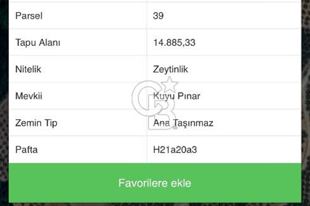 MUDANYA YAMAN MH.'NDE SATILIK 14.885 M2 ZEYTİNLİK