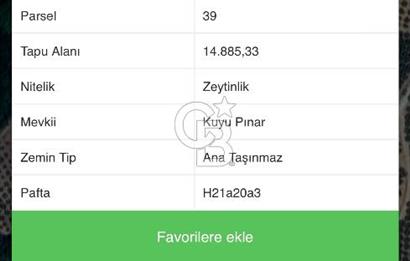 MUDANYA YAMAN MH.'NDE SATILIK 14.885 M2 ZEYTİNLİK