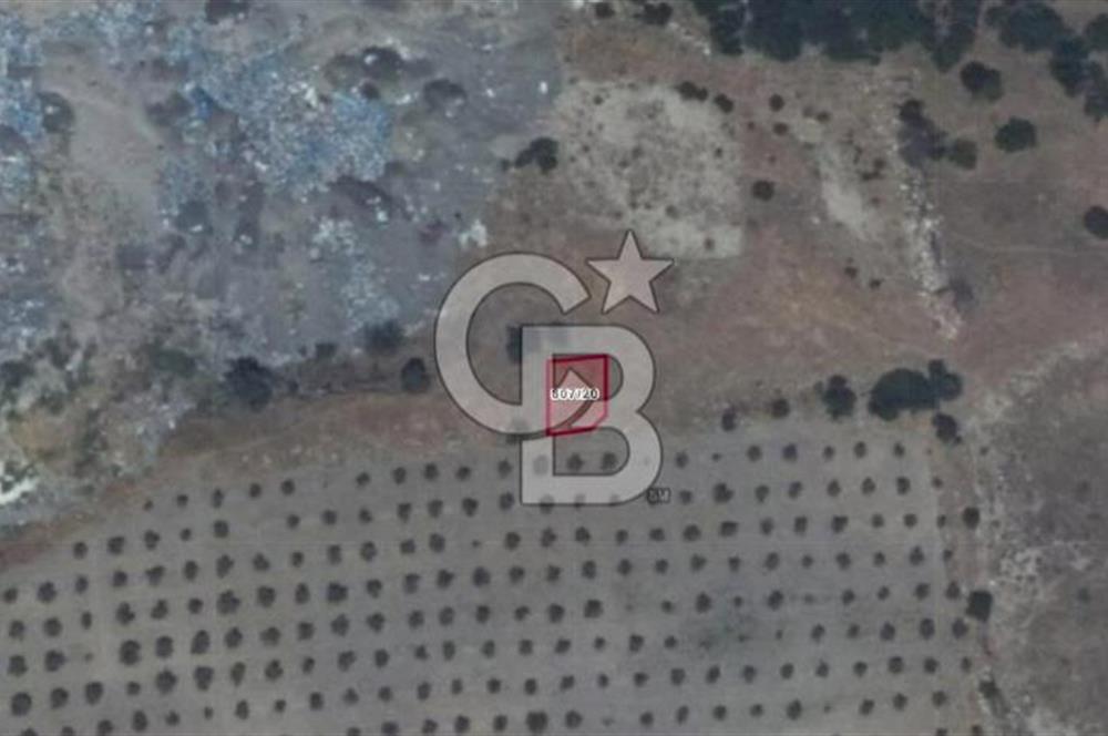 Denizli Buldan Cumhuriyet Mahallesinde Fırsat Ticari İmarlı 115,90 m2 Arsa