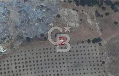 Denizli Buldan Cumhuriyet Mahallesinde Fırsat Ticari İmarlı 115,90 m2 Arsa