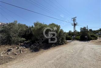 MUHTEŞEM ARSA MUĞLA MİLAS KIYIKIŞLACIK'TA SAHİLE YAKIN - 1 - 342338