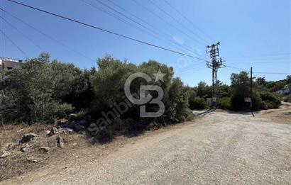 MUHTEŞEM ARSA MUĞLA MİLAS KIYIKIŞLACIK'TA SAHİLE YAKIN