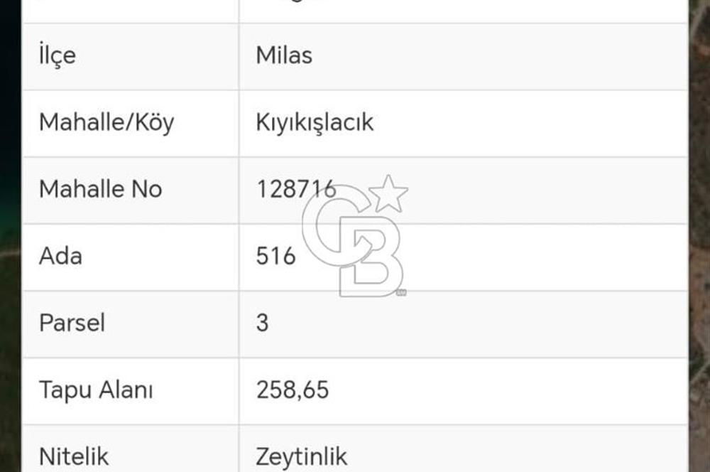 MUHTEŞEM ARSA MUĞLA MİLAS KIYIKIŞLACIK'TA SAHİLE YAKIN