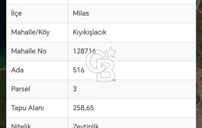 MUHTEŞEM ARSA MUĞLA MİLAS KIYIKIŞLACIK'TA SAHİLE YAKIN