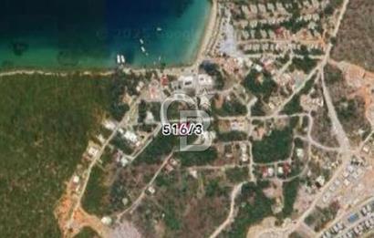 MUHTEŞEM ARSA MUĞLA MİLAS KIYIKIŞLACIK'TA SAHİLE YAKIN