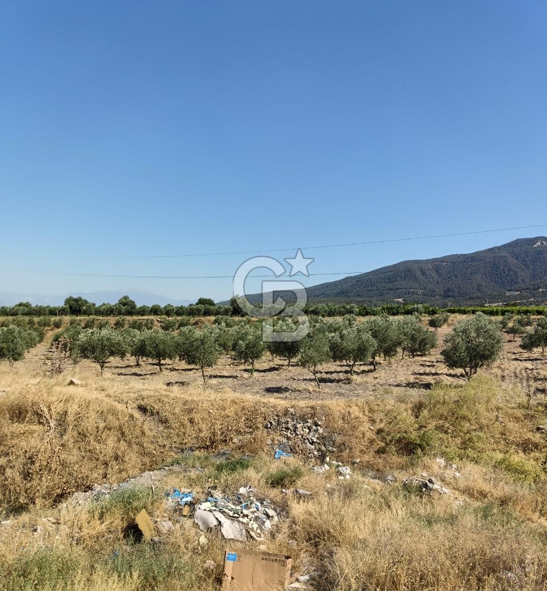 Denizli Buldan Cumhuriyet Mahallesinde Fırsat Ticari İmarlı 115,90 m2 Arsa