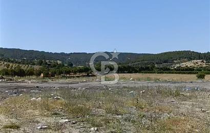 Denizli Buldan Cumhuriyet Mahallesinde Fırsat Ticari İmarlı 115,90 m2 Arsa