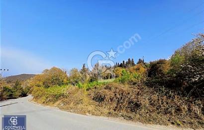 KARAMÜRSELDE DENİZ DOĞA MANZARALI %20VİLLALIK İMARLI SATLIK ARSA