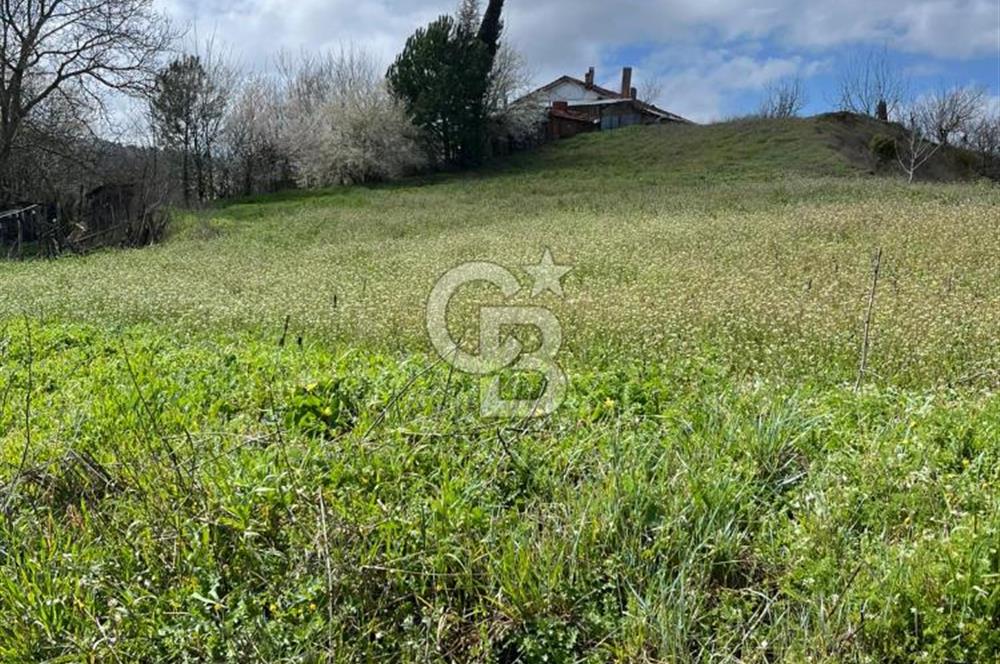 CB LEADER'DAN SATILIK ARSA