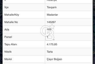 KÜTAHYANIN EN UYGUN ARAZİSİ 4.175 M2 FIRSAT - 9 - 342389