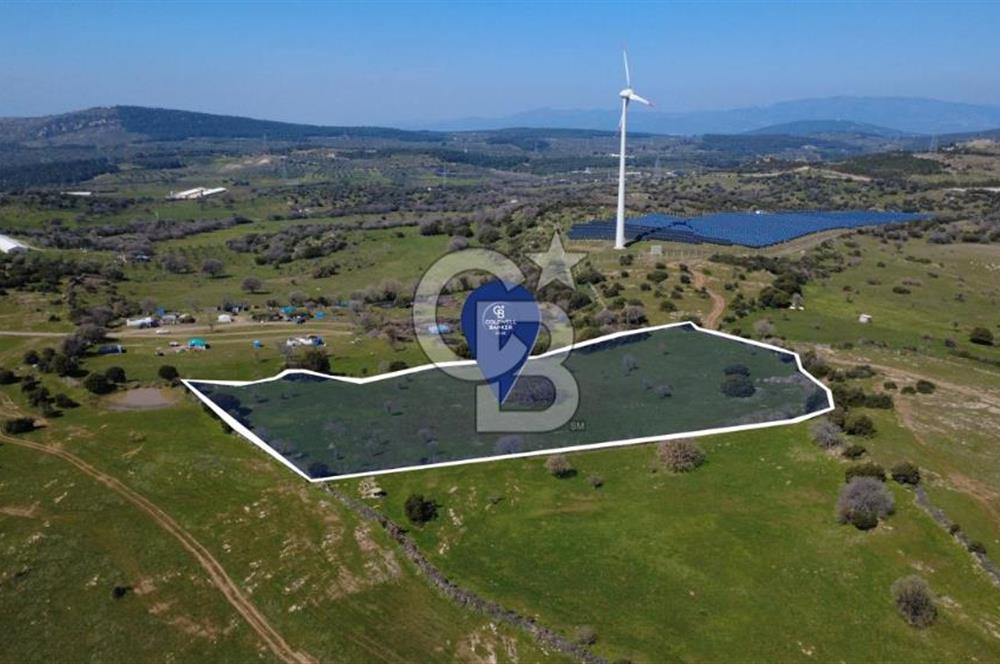 BERGAMA ÖRLEMİŞ'DE SATILIK 13.072 M2 TARLA