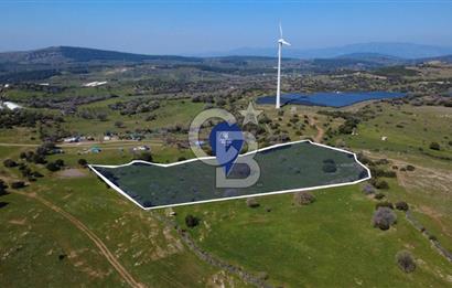 BERGAMA ÖRLEMİŞ'DE SATILIK 13.072 M2 TARLA