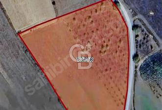 CB NETA ÖMER ÜNSAL'DAN 10.201 m2 YOLA CEPHE PARSEL - 7 - 342422