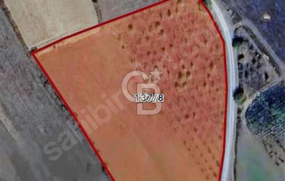 CB NETA ÖMER ÜNSAL'DAN 10.201 m2 YOLA CEPHE PARSEL