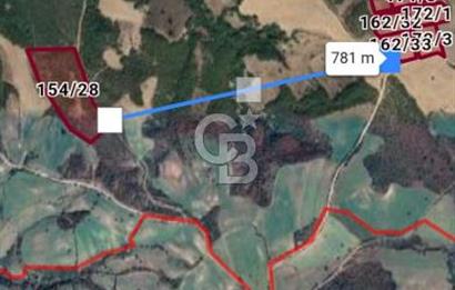 ÇANAKKALE LAPSEKİ YENİCE KÖYÜNDE SATILIK TARLA