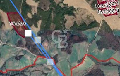 ÇANAKKALE LAPSEKİ YENİCE KÖYÜNDE SATILIK TARLA