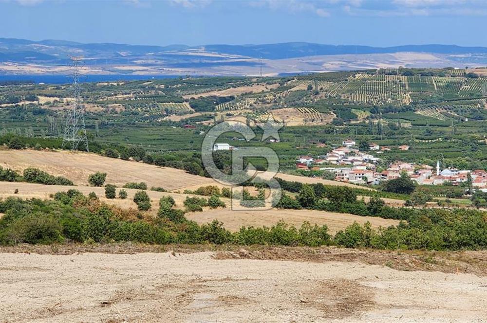 ÇANAKKALE LAPSEKİ YENİCE KÖYÜNDE SATILIK TARLA