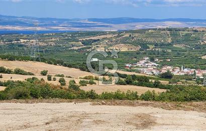 ÇANAKKALE LAPSEKİ YENİCE KÖYÜNDE SATILIK TARLA