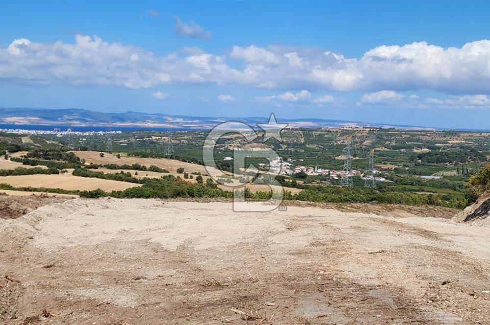 ÇANAKKALE LAPSEKİ YENİCE KÖYÜNDE SATILIK TARLA