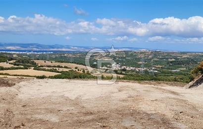 ÇANAKKALE LAPSEKİ YENİCE KÖYÜNDE SATILIK TARLA