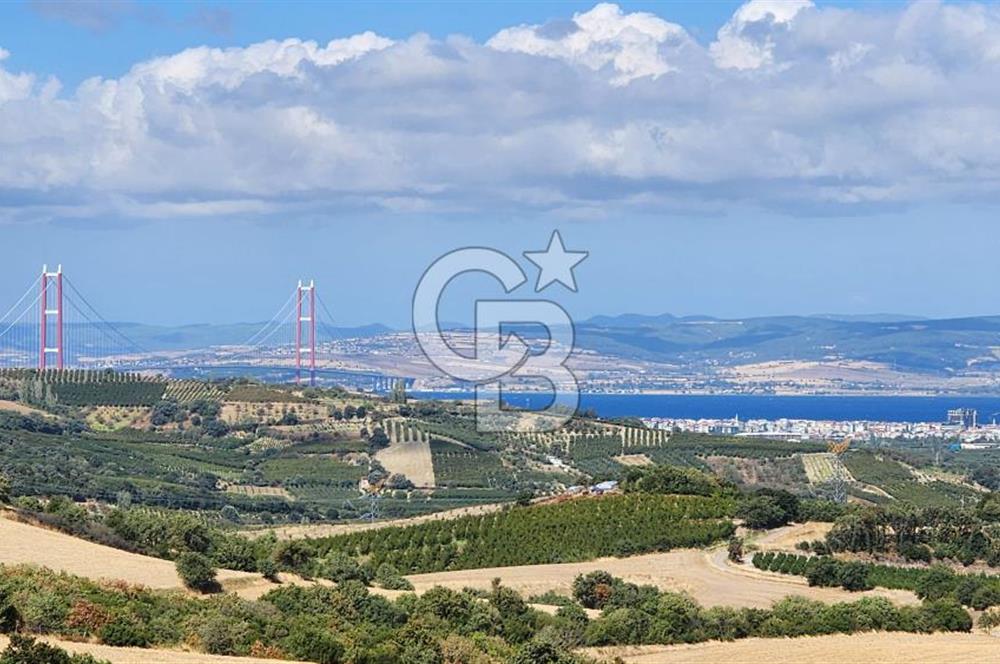 ÇANAKKALE LAPSEKİ YENİCE KÖYÜNDE SATILIK TARLA