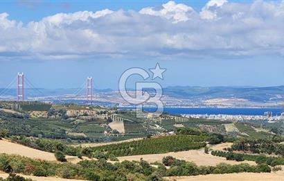 ÇANAKKALE LAPSEKİ YENİCE KÖYÜNDE SATILIK TARLA