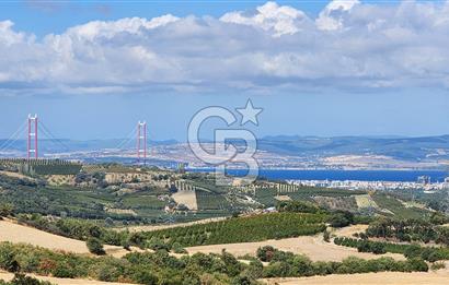 ÇANAKKALE LAPSEKİ YENİCE KÖYÜNDE SATILIK TARLA