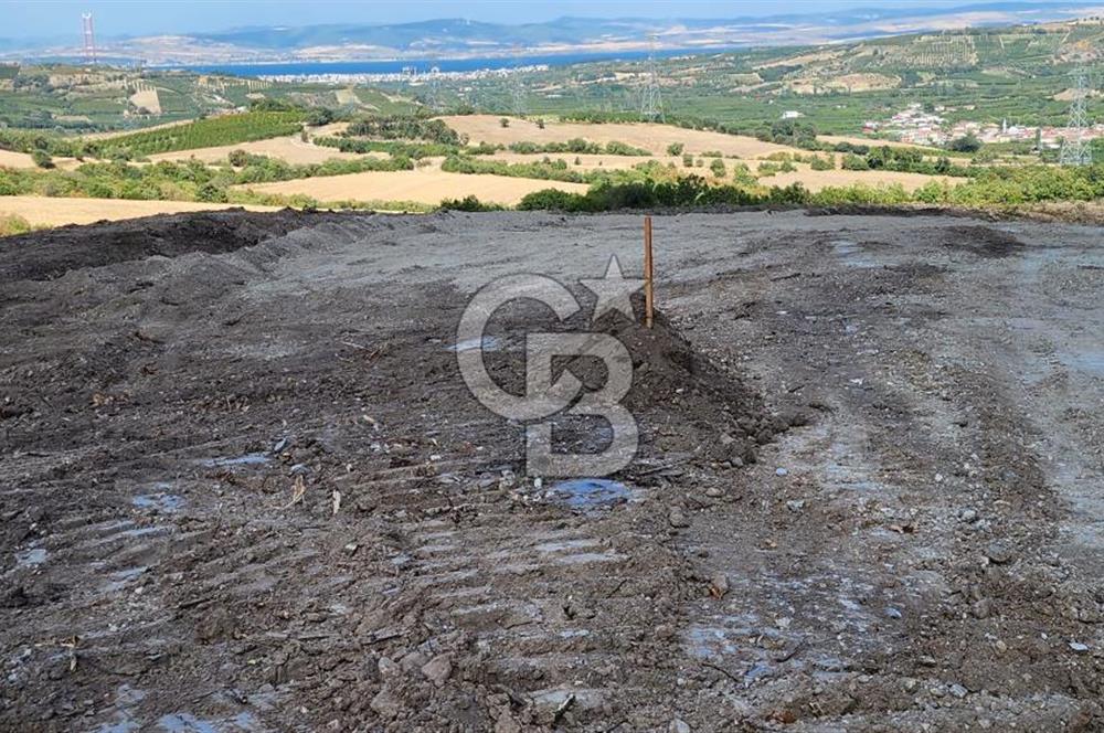 ÇANAKKALE LAPSEKİ YENİCE KÖYÜNDE SATILIK TARLA