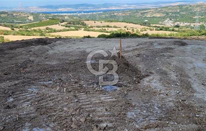 ÇANAKKALE LAPSEKİ YENİCE KÖYÜNDE SATILIK TARLA