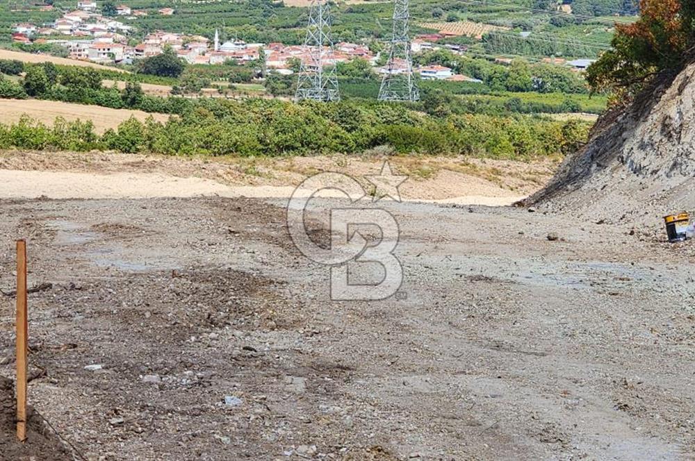 ÇANAKKALE LAPSEKİ YENİCE KÖYÜNDE SATILIK TARLA
