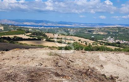 ÇANAKKALE LAPSEKİ YENİCE KÖYÜNDE SATILIK TARLA