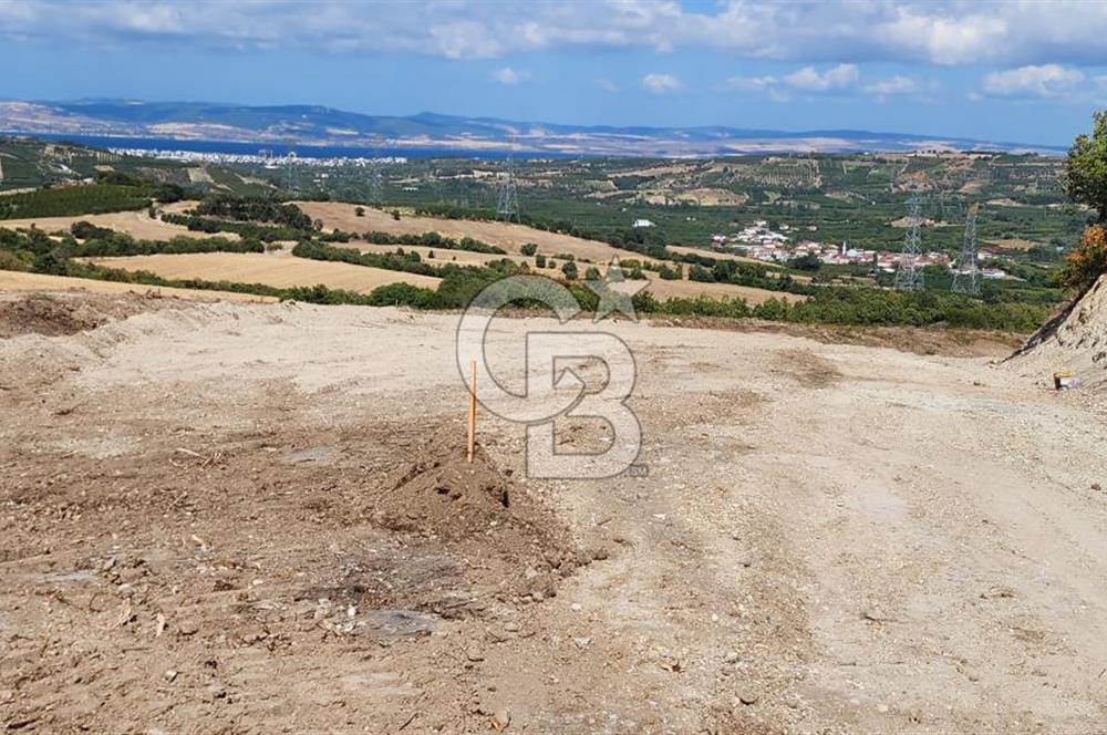 ÇANAKKALE LAPSEKİ YENİCE KÖYÜNDE SATILIK TARLA