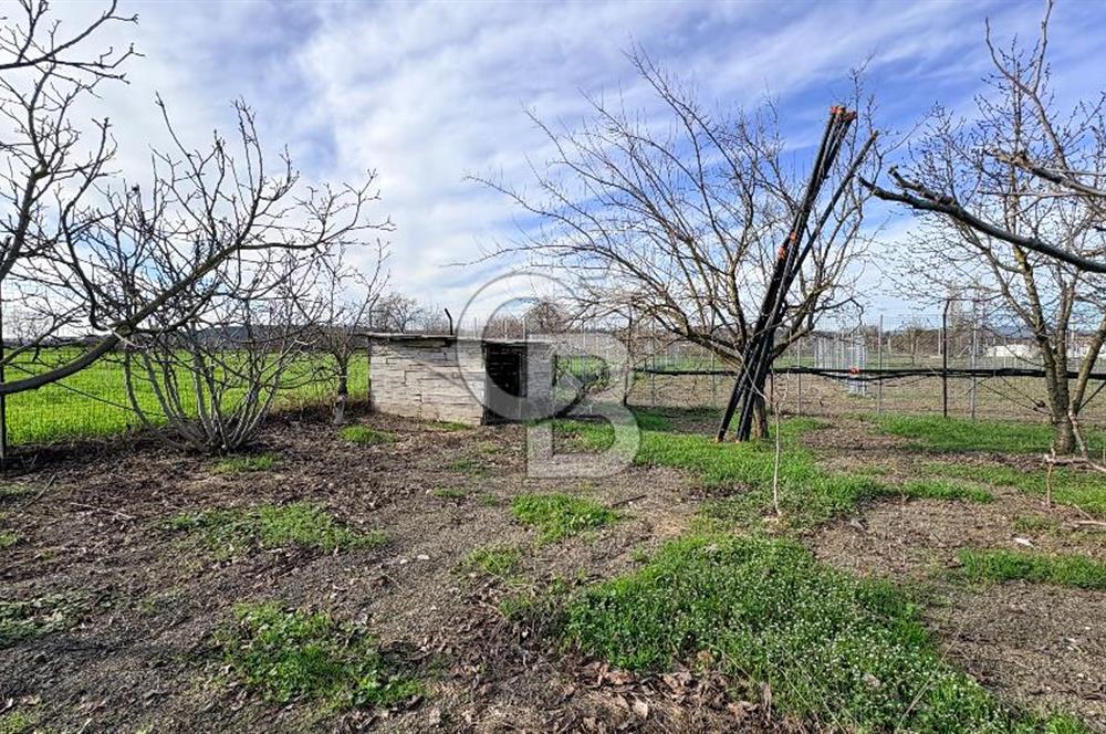BURSA NİLÜFER KAYAPA İSTİKLALDE 1786 M2 KİRALIK HOBİ BAHÇESİ