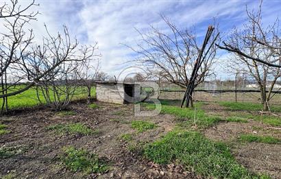 BURSA NİLÜFER KAYAPA İSTİKLALDE 1786 M2 KİRALIK HOBİ BAHÇESİ