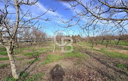 BURSA NİLÜFER KAYAPA İSTİKLALDE 1786 M2 KİRALIK HOBİ BAHÇESİ