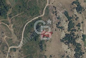 CB ÖMER ÜNSAL'DAN  SINDIRGISDA SATILIK 1049 M2 PARSEL  - 1 - 342426