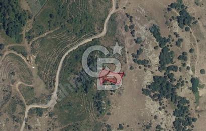 CB ÖMER ÜNSAL'DAN  SINDIRGISDA SATILIK 1049 M2 PARSEL 