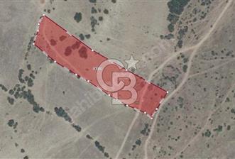 CB ÖMER ÜNSAL'DAN 6 DÖNÜM ÇİFTLİK YAPIMINA UYGUN PARSEL - 1 - 342412