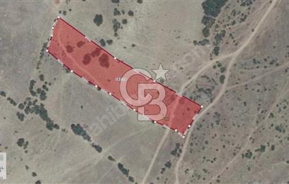 CB ÖMER ÜNSAL'DAN 6 DÖNÜM ÇİFTLİK YAPIMINA UYGUN PARSEL