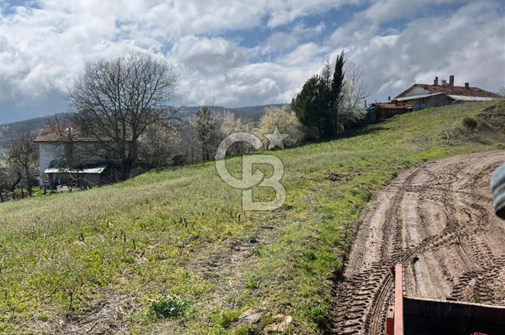 CB LEADER'DAN SATILIK ARSA