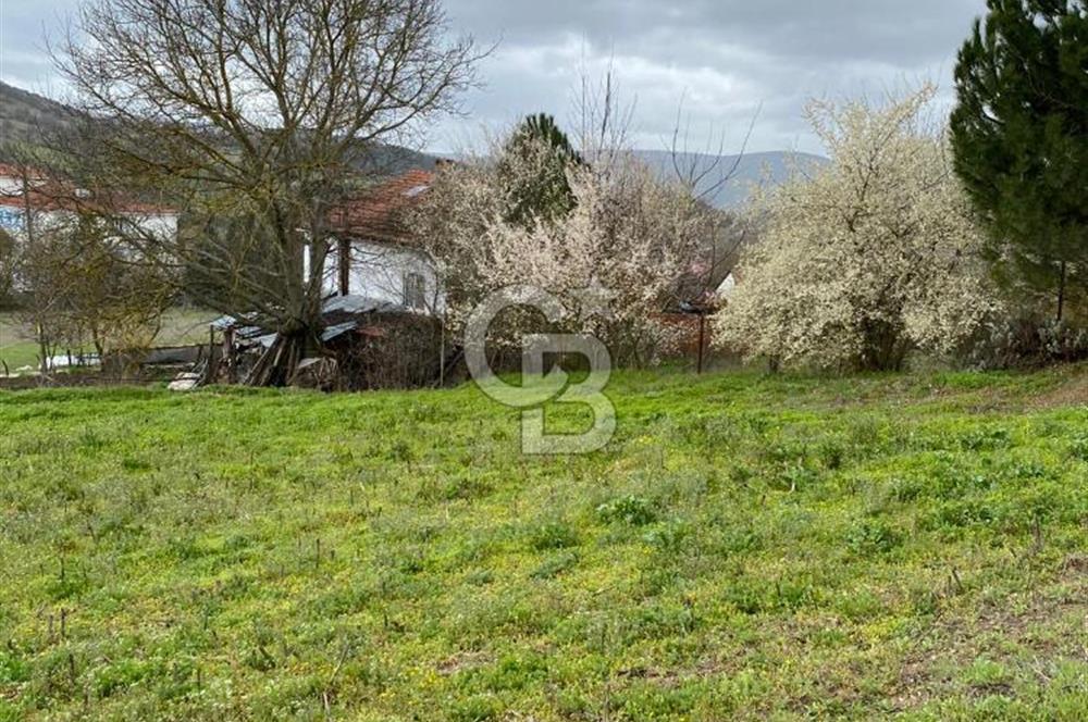 CB LEADER'DAN SATILIK ARSA